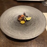 オッジ ダルマット 西麻布店 - 