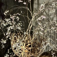 鉄板料理 花六 - 