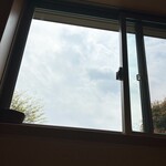 江戸一 - 空を見上げると