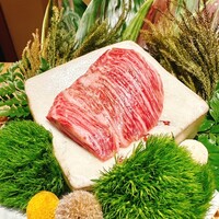 北新地はらみ 法善寺店 - 