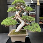 松葉屋茶寮 - 店舗外観②