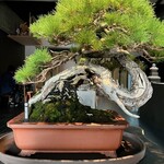 松葉屋茶寮 - 店舗内観⑨