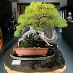 松葉屋茶寮 - 店舗内観⑩