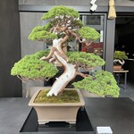 松葉屋茶寮 - 店舗外観①