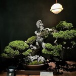 松葉屋茶寮 - 店舗内観14