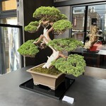 松葉屋茶寮 - 店舗外観③