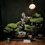 松葉屋茶寮 - 店舗内観21