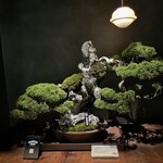 松葉屋茶寮 - 店舗内観15