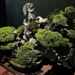 松葉屋茶寮 - 店舗内観19