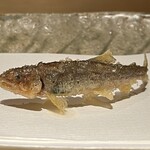 ぬま田 - 【 稚鮎 】