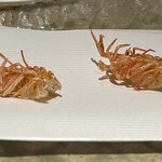 ぬま田 - 【 車海老の頭 】