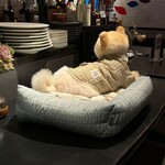 ガストロノミヤ 古賀圭祐 - 