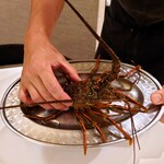 anchoa - Tapas⑤で登場する伊勢海老のお披露目〈相模湾魚介スペシャルコース〉