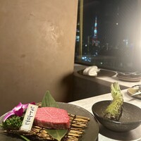 PONGA PREMIUM - 