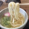 本格手打ちうどん もり