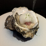 ガストロノミヤ 古賀圭祐 - 