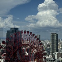 DimDimSum 大阪本店 - 