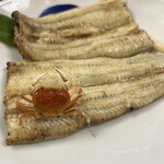 うなぎ亭 友栄 - 