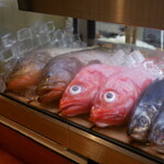 Kozakana Ryori Tomisuke