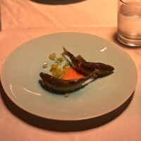 タケル クインディチ(LOQUAT) 西伊豆 - 