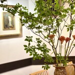 吉おか四季食彩 - 