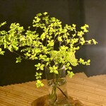 吉おか四季食彩 - 