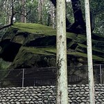 寿し辰 - 御神体のこの巨石、高さ8m、幅10mあります。
      その昔、沢の砂防工事を行う際に、この巨石の西側部分を砕き次々運んで工事をしたという所が今も残ることから、元々はもっと巨大な石だったと考えられています。