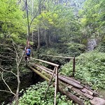 寿し辰 - 八幡山を登るハイキングコース。整備されていて初心者にも登りやすい。待って〜！置いてかないで〜！