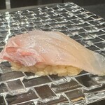 赤坂 鮨大谷 - オオモンハタ