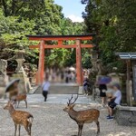 日本料理 滴翠 - 春日大社