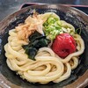 灸まんうどん - 冷梅ぶっかけうどん小