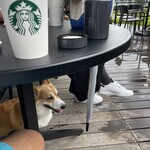 STARBUCKS COFFEE Karuizawa Purinsushoppingupurazaten - 