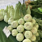 Butcher Matthias Eisenreich - 衝撃！キャベツは尖っている！！