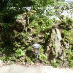 田舎料理みや - 入口の前の岩