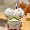 HiO ICE CREAM Stand 日本橋三越本店