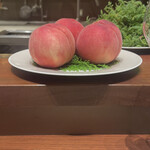 スガラボヴィー - 