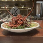 スガラボヴィー - 