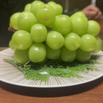 スガラボヴィー - 