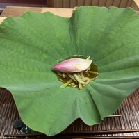 緒方 - 