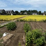 UOYUKI SOUP CURRY & - お店の周囲はのどかな田園風景