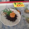 潮騒の館 やし楼
