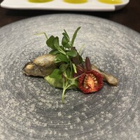 オッジ ダルマット 西麻布店 - 