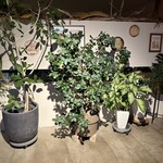 オステリア ドラマティコ - 