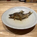 旬菜旬魚 たじま - 