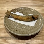 旬菜旬魚 たじま - 