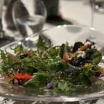 レフェルヴェソンス - 