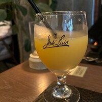 Jose Luis Karuizawa - 