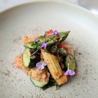 ジャヌ メルカート - 