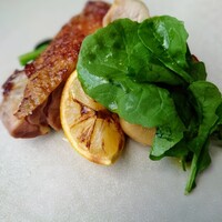 ジャヌ メルカート - 