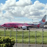 ブルーコーナー UC店 - JALジンベイザメジェット